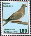 Turtle Dove (Streptopelia turtur)