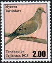 Turtle Dove (Streptopelia turtur)