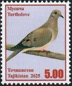 Turtle Dove (Streptopelia turtur)