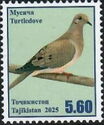 Turtle Dove (Streptopelia turtur)