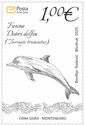 Bottlenose Dolphin (Tursiops truncatus)