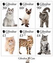 Cats of Gibraltar