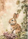 Rabbit and Grapes