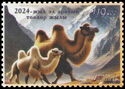 International Year of Camels