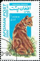 Japanese Bobtail (Felis silvestris catus)