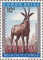 Roan Antelope (Hippotragus equinus) overprinted CONGO