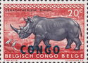 White Rhinoceros (Ceratotherium simum) overprinted CONGO