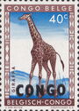Northern Giraffe (Giraffa camelopardalis) overprinted CONGO