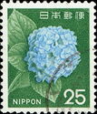Hydrangea (Hydrangea sp.)