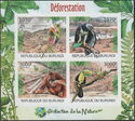 Desforestation