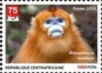 Golden Snub Nosed Monkey (Rhinopicethecus roxellana)