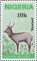 Defassa Waterbuck (Kobus defassa)