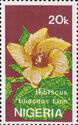 Hibiscus tiliaceus