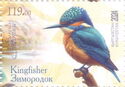 Kingfishers (Alcedinidae)