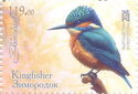 Kingfishers (Alcedinidae)