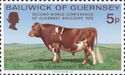 Guernsey Bull (Bos primigenius taurus)