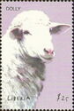 Dolly the Sheep