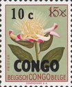 Protea argyrea - Surcharged - Overprinted CONGO