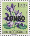 Schizoglossum eximium - Overprinted CONGO