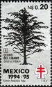 Cedrus libani
