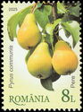 Pears (Pyrus communis)