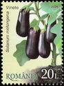 Eggplant (Solanum melongena)