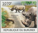 Ceratotherium simum