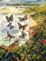 Wonderful Butterflies of Antigua