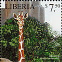 Giraffe (Giraffa camelopardalis)