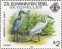 Dimorphic Egret (Egretta garzetta dimporpha)