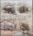 Cape Porcupine (Hystrix africaeaustralia)