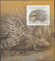 Cape Porcupine (Hystrix africaeaustralia)