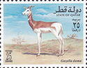 Dama Gazelle (Gazella dama)