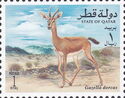 Dorcas Gazelle (Gazella dorcas)