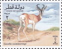 Soemmerring's Gazelle (Gazella soemmerringii)