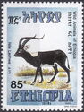 Nile Lechwe (Kobus megaceros)