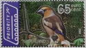 Hawfinch (Coccothraustes coccothraustes)