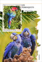 Parrots