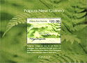 Ferns of Papua New Guinea