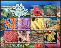 Corals