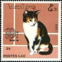 Domestic Cat (Felis silvestris catus)