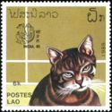Domestic Cat (Felis silvestris catus)