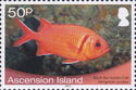 Blackbar Soldierfish (Myripristis jacobus)