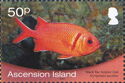 Blackbar Soldierfish (Myripristis jacobus)