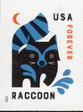 Raccoon