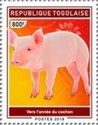 Year of the Pig