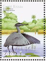 Black Heron (Egretta ardesiaca)