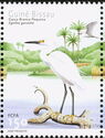 Little Egret (Egretta garzetta)