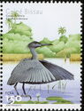 Black Heron (Egretta ardesiaca)