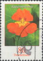 Nasturtium (Tropaeolum majus)